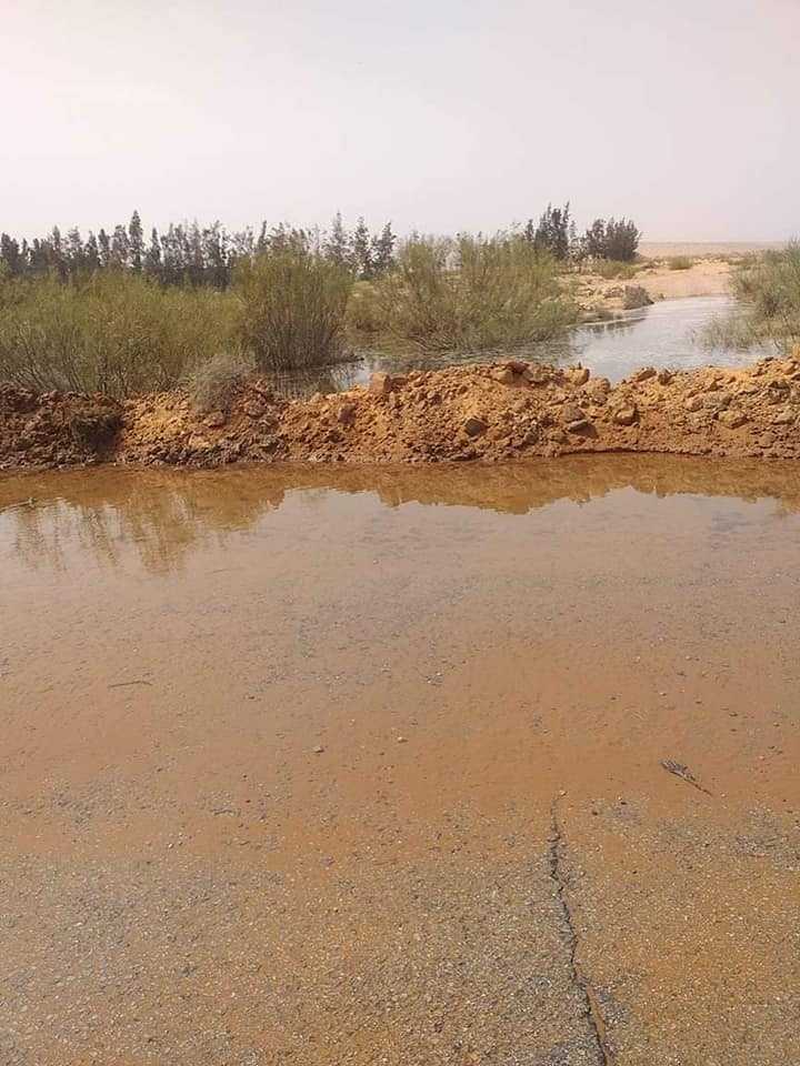 قد تكون صورة لـ طبيعة وجسم مائي