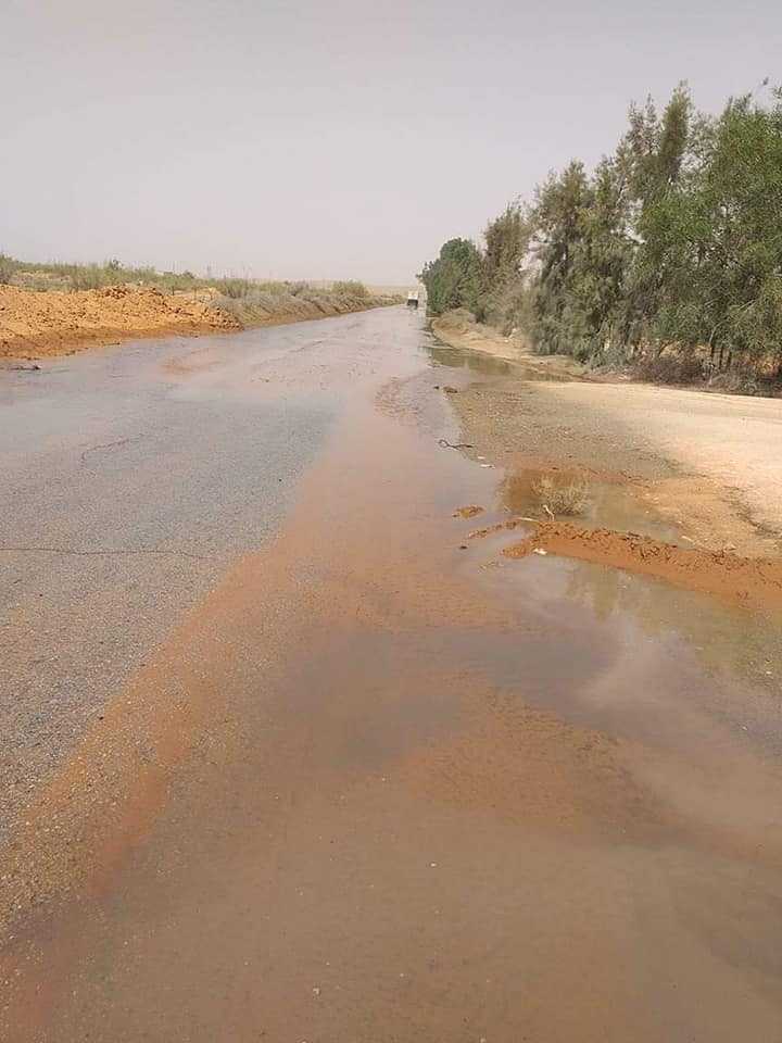 قد تكون صورة لـ شجرة، جسم مائي وطريق