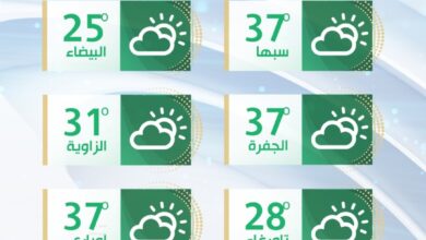 الأرصاد: تقلبات جوية اليوم على أغلب مناطق ليبيا مصحوبة برياح نشطة مثيرة للأتربة والغبار