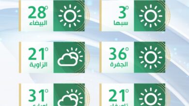 الأرصاد الجوية: الأجواء ستكون معتدلة نسبيا خلال عطلة العيد