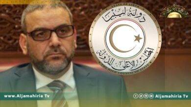 الهادي: سلمنا المشري ونائبيه الوثيقة الدستورية نتاج جولتي المسار الدستوري بالقاهرة