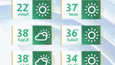 تقلبات جوية مصحوبة برياح نشطة وارتفاع درجات الحرارة