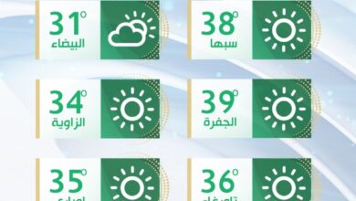 الأرصاد الجوية: اعتدال في درجات الحرارة على أغلب مناطق الشمال مع رطوبة عالية